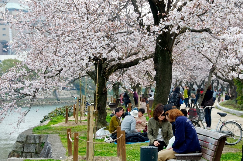 Hiroszima Park Pamięci i Pokoju…Hanami (jap. 花見)…