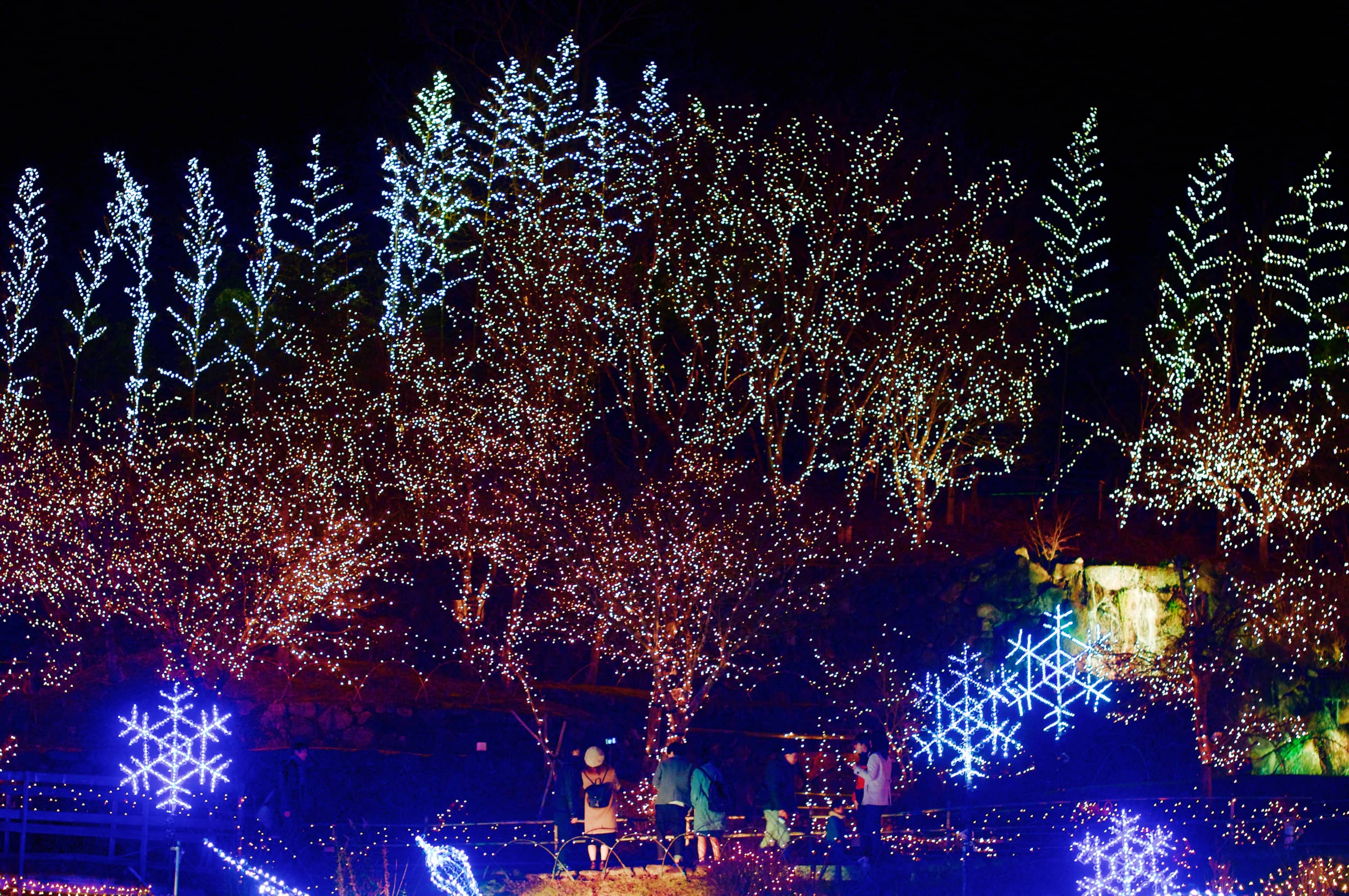Winter Illuminations in Hiroshima – GetHiroshima
