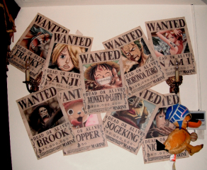 One Piece wanted posters