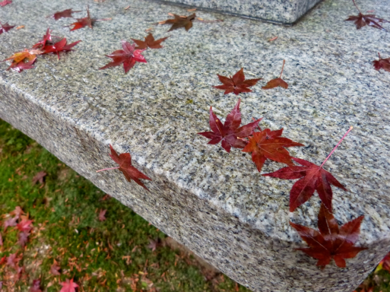 Autumn Leaves at Mitaki Temple - 01