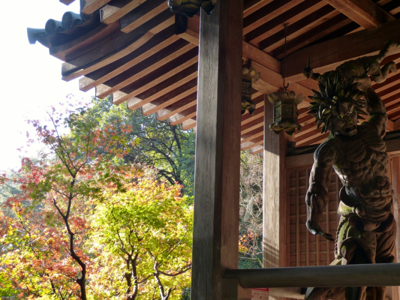 Autumn Leaves at Mitaki Temple - 11