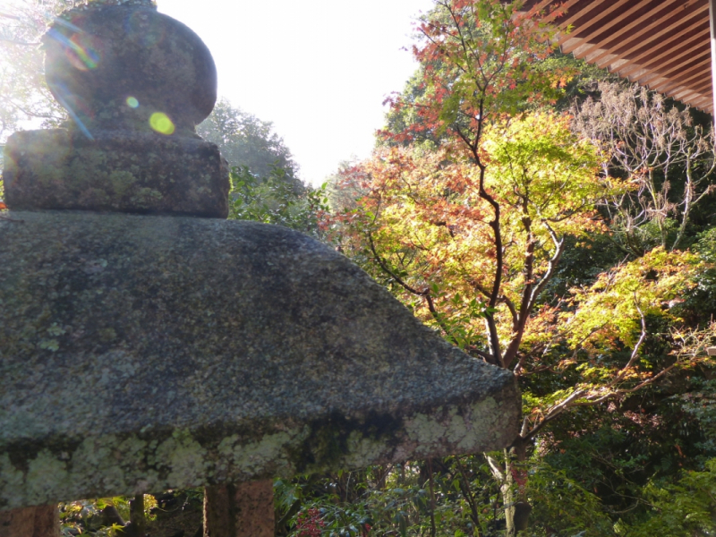 Autumn Leaves at Mitaki Temple - 12