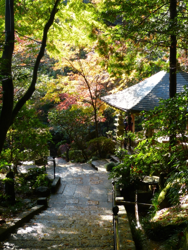 Autumn Leaves at Mitaki Temple - 13