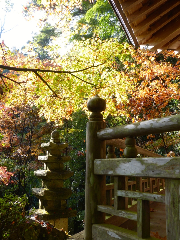 Autumn Leaves at Mitaki Temple - 14