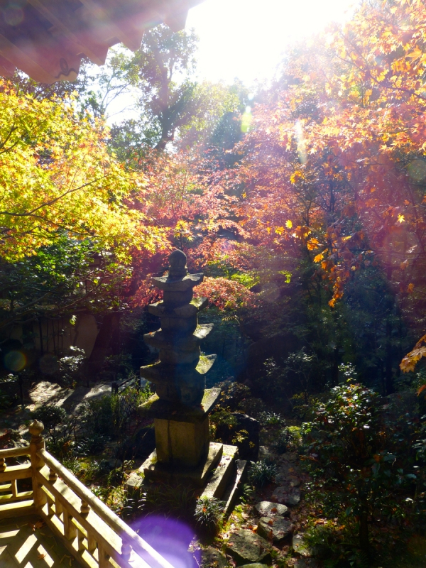 Autumn Leaves at Mitaki Temple - 18