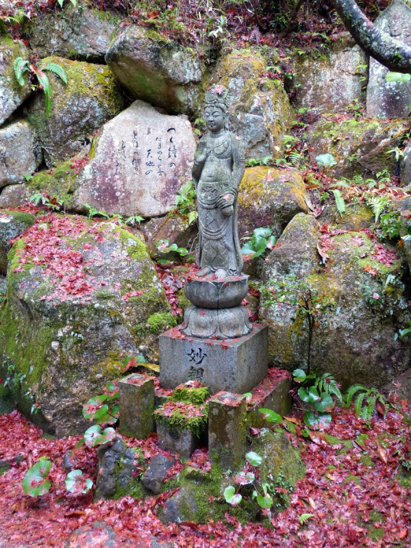 Autumn Leaves at Mitaki Temple - 22