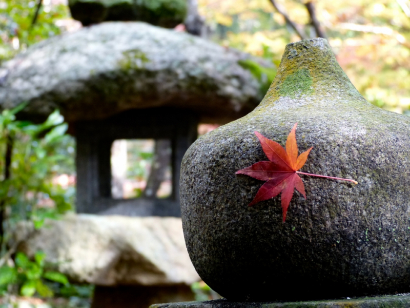 Autumn Leaves at Mitaki Temple - 23