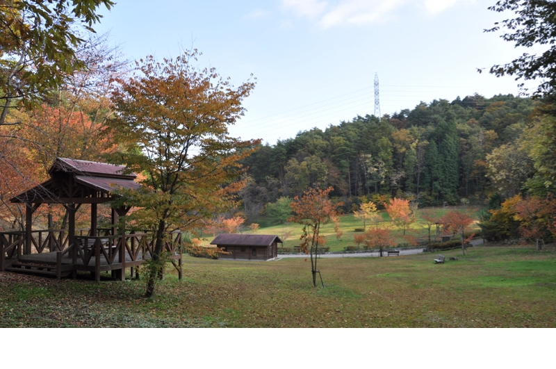 Autumn leaves at Gokurakuji - 12 of 12