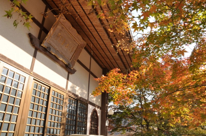 Autumn leaves at Gokurakuji - 2 of 12