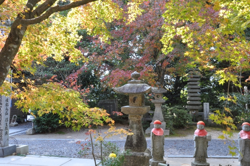 Autumn leaves at Gokurakuji - 3 of 12