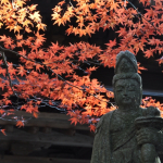 Autumn leaves at Gokurakuji - 7 of 12