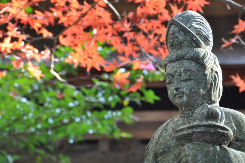 Autumn leaves at Gokurakuji - 8 of 12