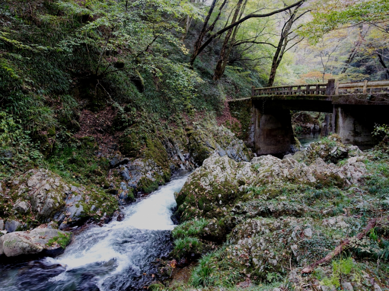 A bridge crosses the Taishaku River on the Upper Taishaku trail