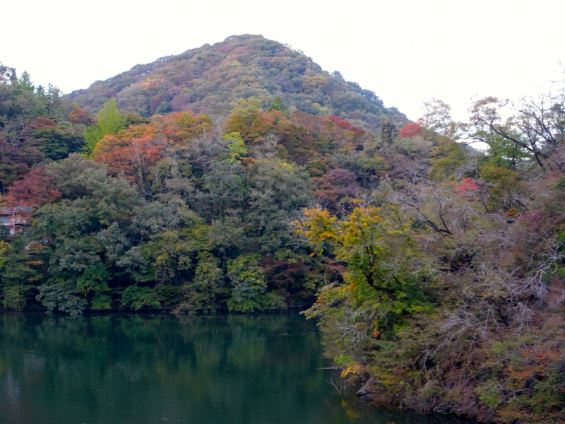 Leaves turning at Shinryuko Lake