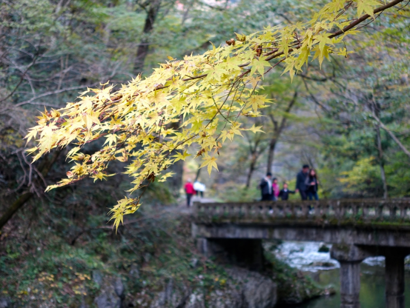 Upper Taishaku Promenade