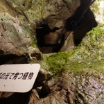 Hakuun-do Caves - 24