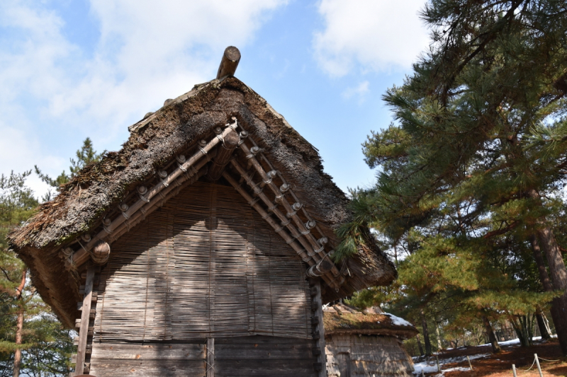 Miyoshi Fudoki-no-oka ancient dwelling 2