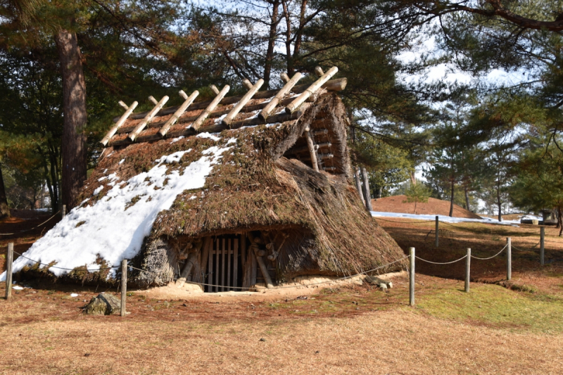 Miyoshi Fudoki-no-oka ancient dwelling 3