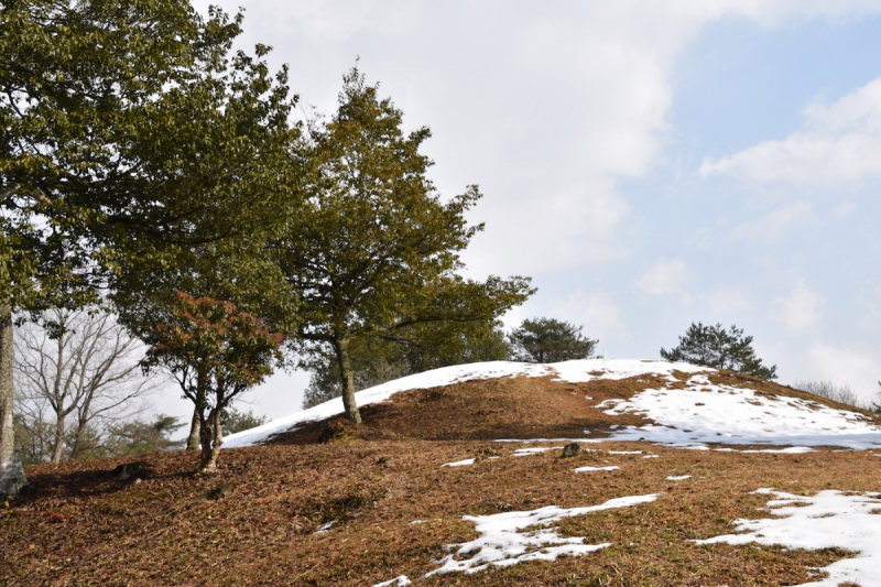 Miyoshi Fudoki-no-oka kofun burial mound