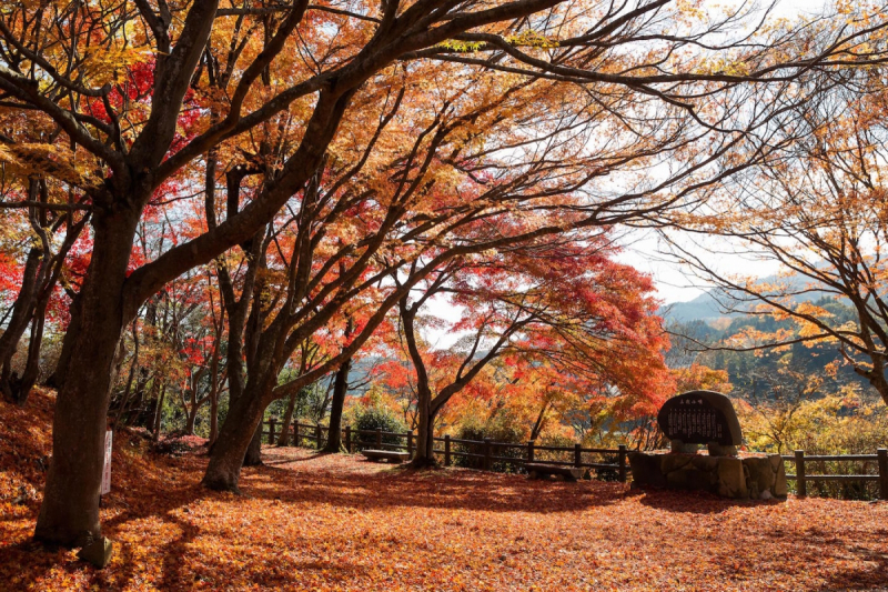 Ozekiyama autumn colors