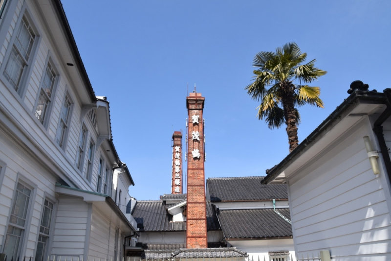 Saijo Sakagura Art Festival - 14