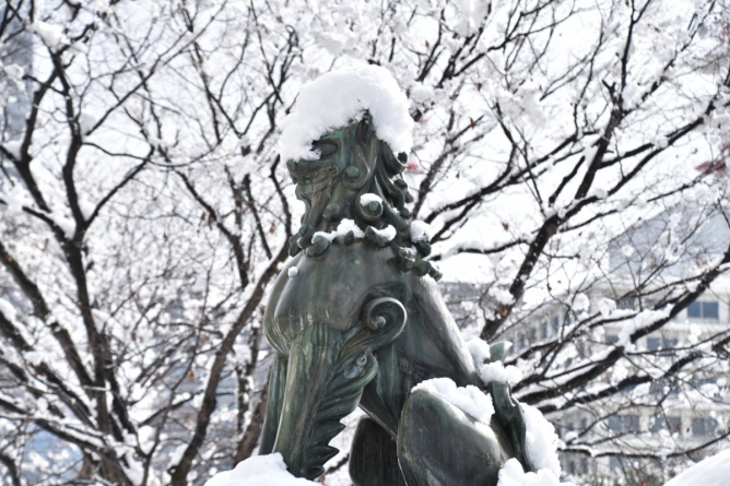 Snowbound tondo festival at Gokoku Shrine, Hiroshima
