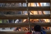 19. Kids transfixed by the Sorasaya Tondo Bonfire 3