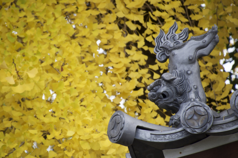 Koma-inu on edge of temple gate