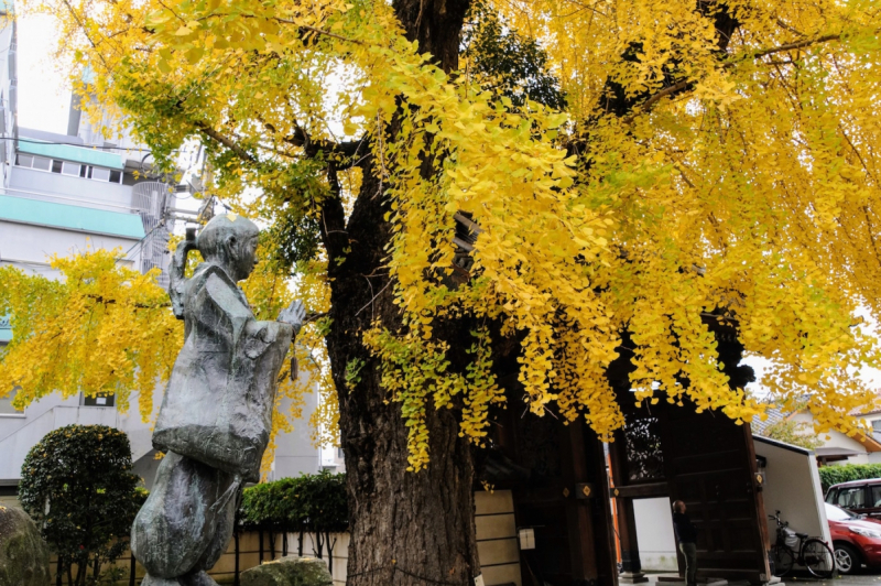Shinran statue