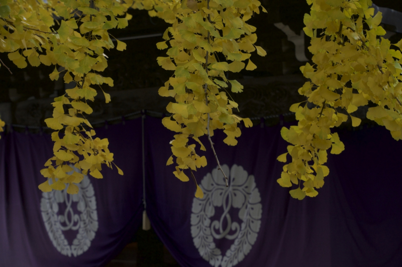 Temple curtains