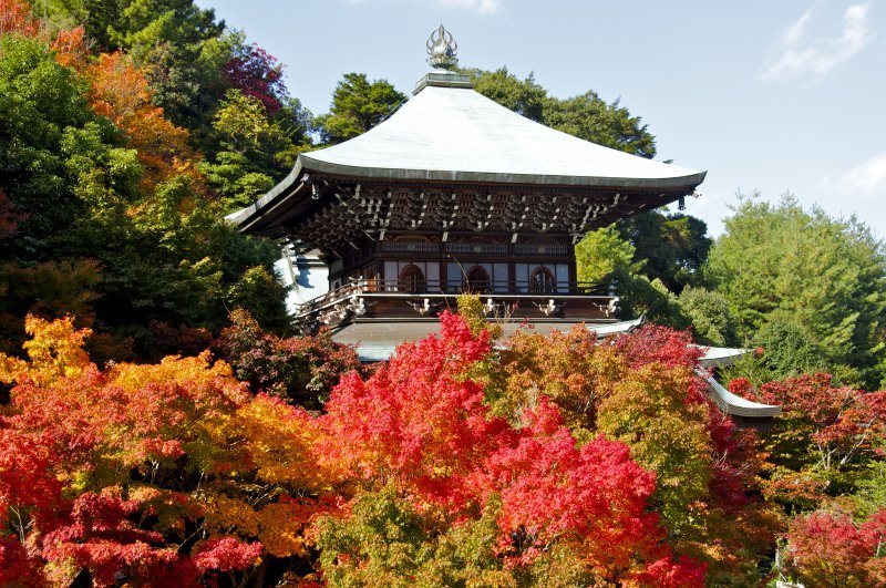 Daishoin