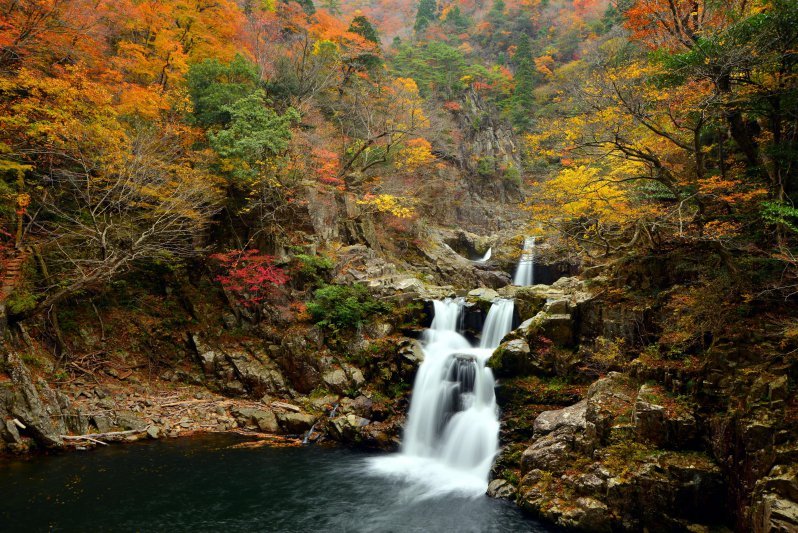 san dan kyo