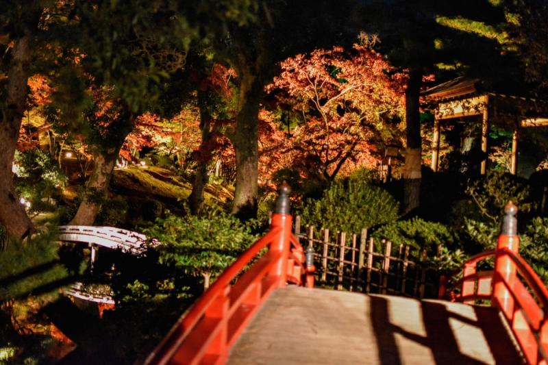 Autumn Illuminations at Shukkeien Garden - 12