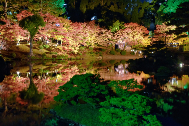 Autumn Illuminations at Shukkeien Garden - 2