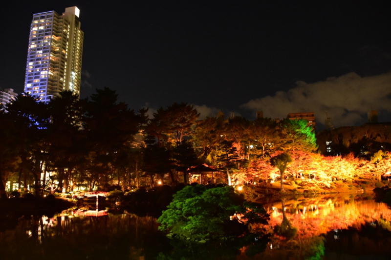 Autumn Illuminations at Shukkeien Garden - 3