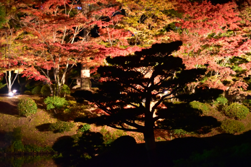 Autumn Illuminations at Shukkeien Garden - 5