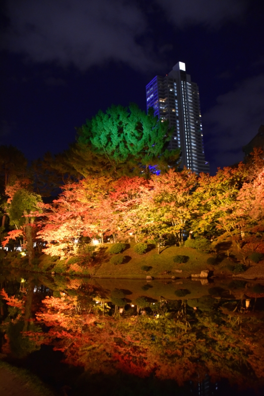 Autumn Illuminations at Shukkeien Garden - 8