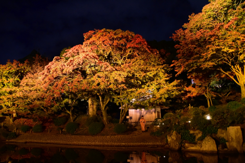 Autumn Illuminations at Shukkeien Garden - 9