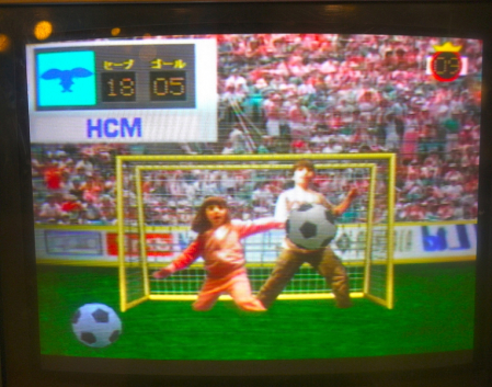 soccer simulation
