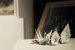 cranes-and-hot-spot-gallery