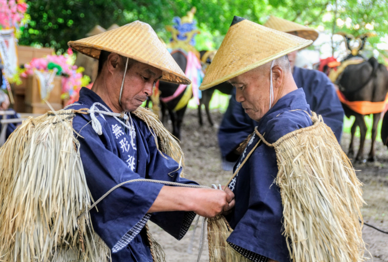 Mibu-no-hanadaue preparation 10