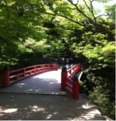 Bridge 1