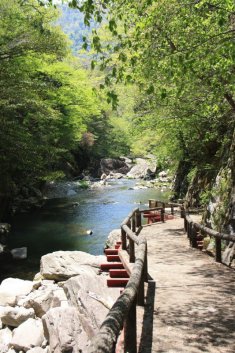 Path along the river