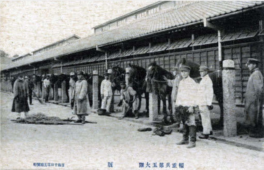 Horses-and-stables-at-Hirohsima-Transportation-Corps-