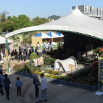 Hiroshima Castle Chrysanthemum Exhibition 2016 - 10