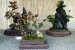 Hiroshima Castle Chrysanthemum Exhibition 2016 - 09