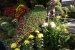 Hiroshima Castle Chrysanthemum Exhibition 2016 - 15