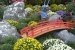 hiroshima-castle-chrysanthemum-exhibition-05