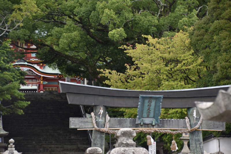 Hofu Cultural Trip - Hofu Tenmangu - 1