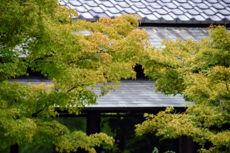 Hofu Cultural Trip - Hoshoan - 1